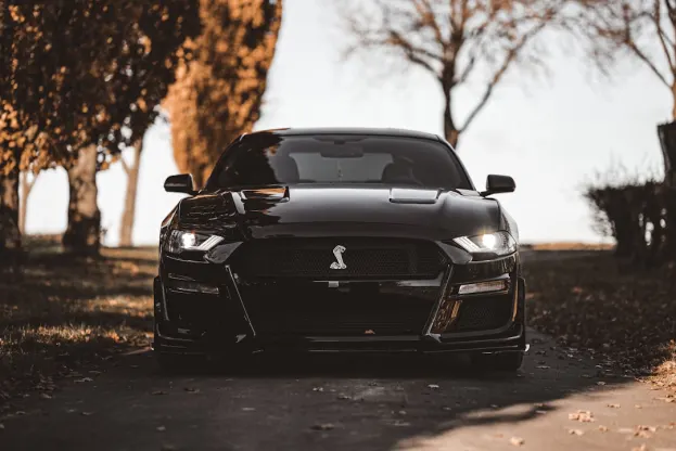 Ripper Casino Android/iOS Forrit